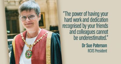 RCVS Honours and Awards open for nominations